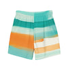 Striped Dolphin Men's swim trunks