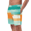 Striped Dolphin Men's swim trunks