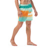 Striped Dolphin Men's swim trunks