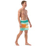 Striped Dolphin Men's swim trunks