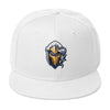 Dad Paladin Snapback Hat