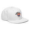 Geek Dad Fashion Snapback Hat